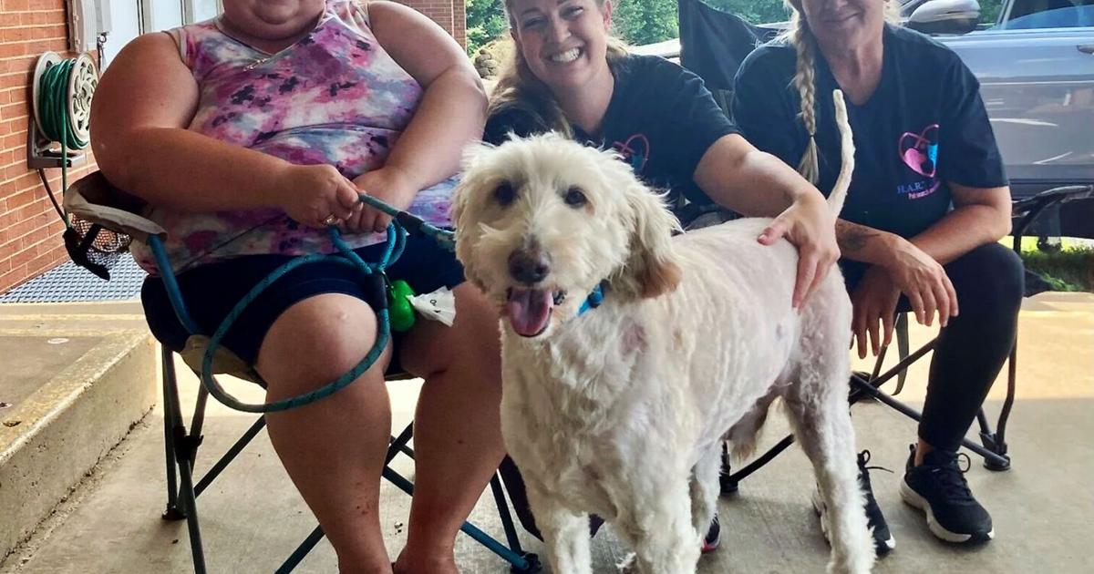 Echipă de salvare utilizează tehnologia dronelor pentru a găsi câine de serviciu dispărut