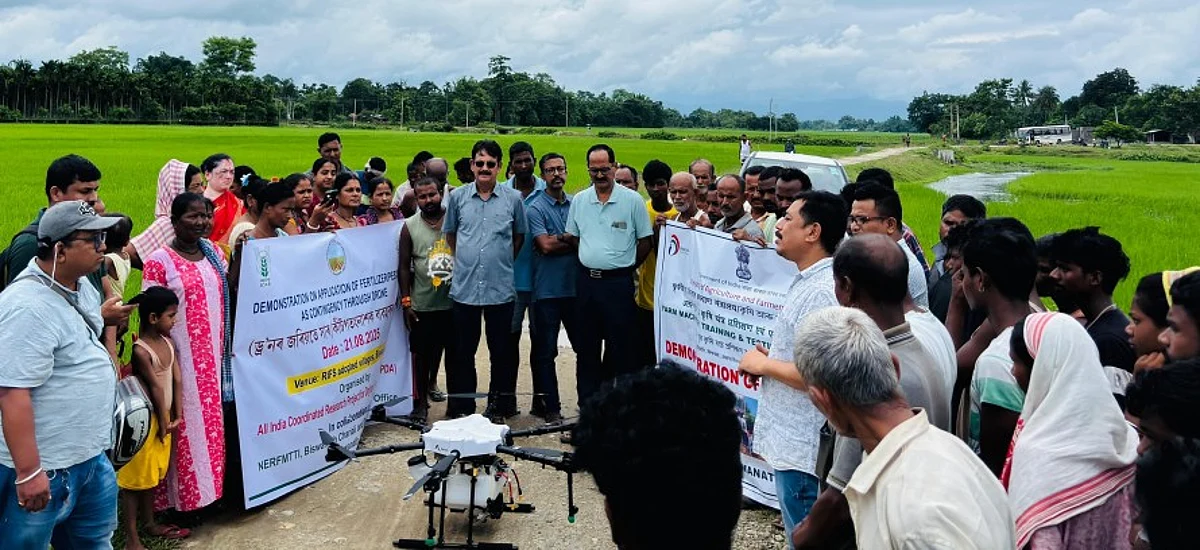 Tehnologia dronelor prezentată pentru utilizarea pesticidelor în culturile de orez